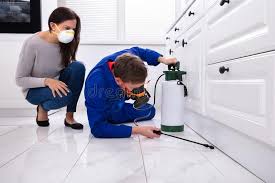 Best Fumigation Services  in Baldn, WI